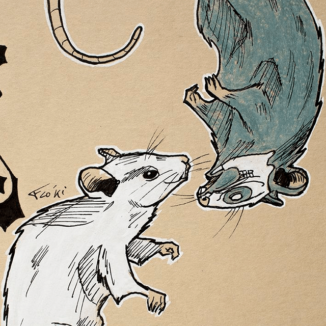 VI Rodent - Pièce unique